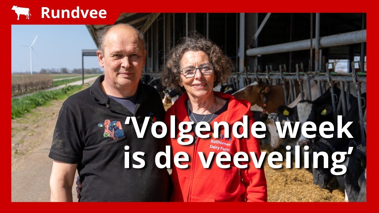 Melkveebedrijf doet mee aan beëindigingsregeling: “Niet hoe wij het hadden gewild