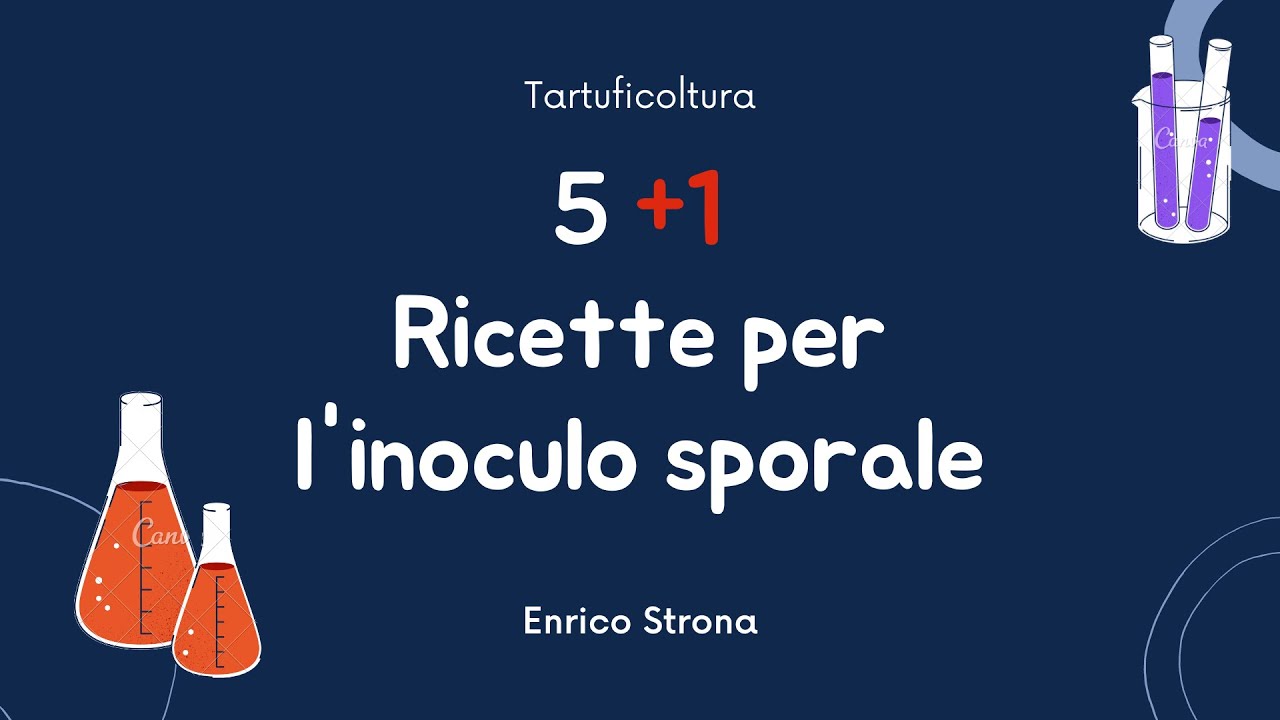Tartuficoltura: Come si fa l'inoculo sporale?  5+1 ricette