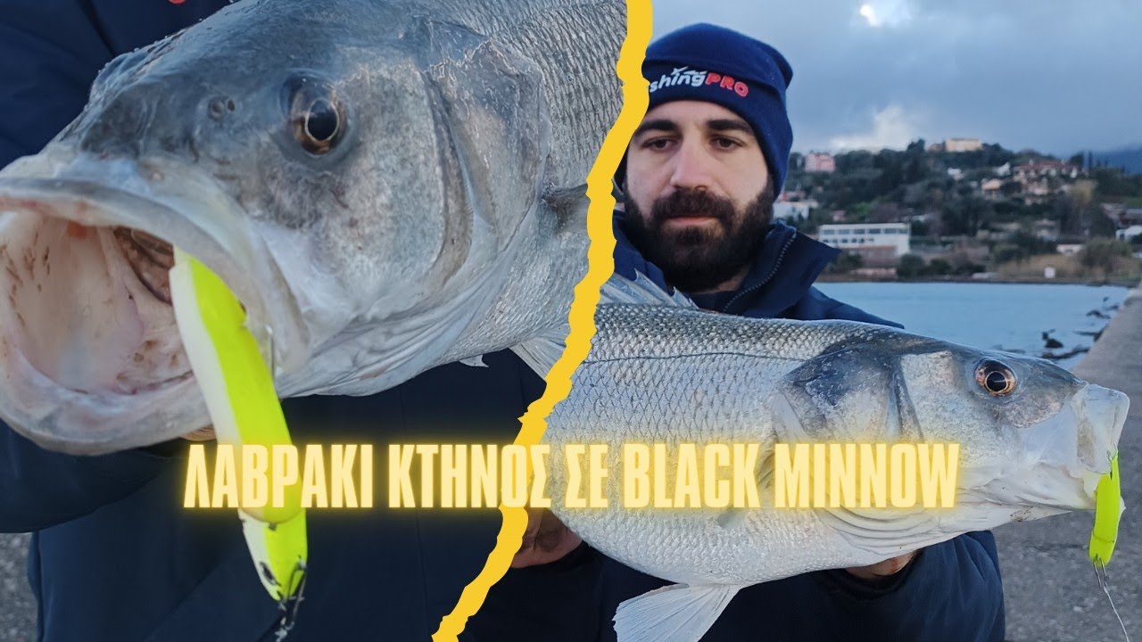 'Οταν θέλει να στο δώσει θα στο δώσει | ΛΑΒΡΑΚΙ κτήνος σε BLACK MINNOW | Kostas Tsirigakis