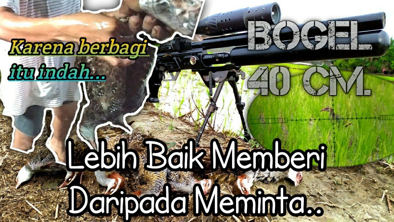 Hunting Sintar \\Bagi-bagi Hasil Buruan..
