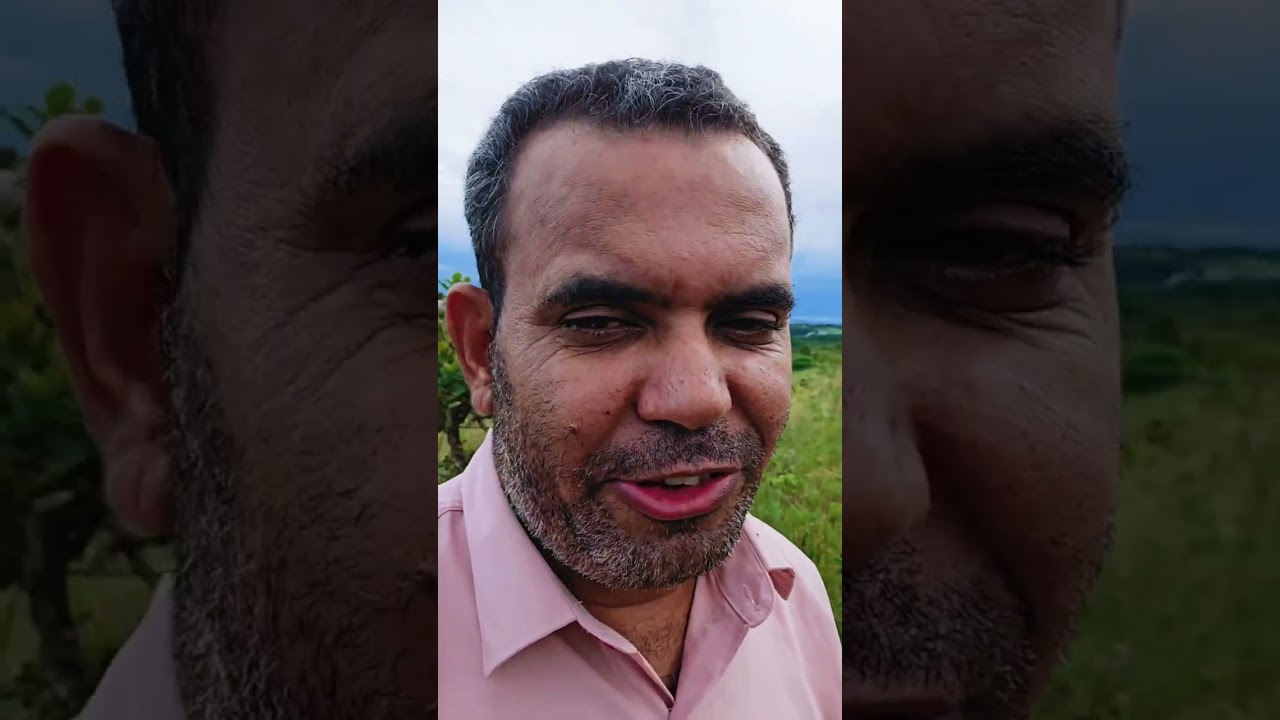 ESTÃO FAZENDO ELOGIOS SOBRE VOCÊ!🚨