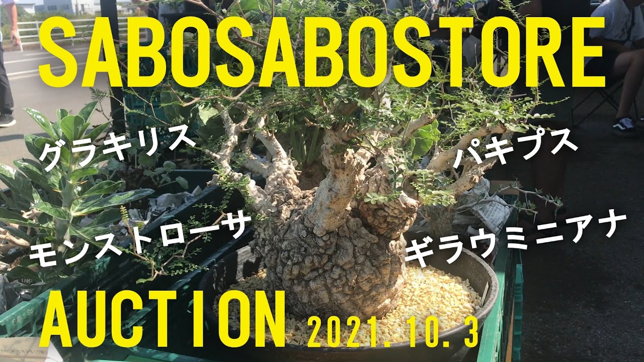 【イベント】サボサボストアのオークションへ行ってきた！