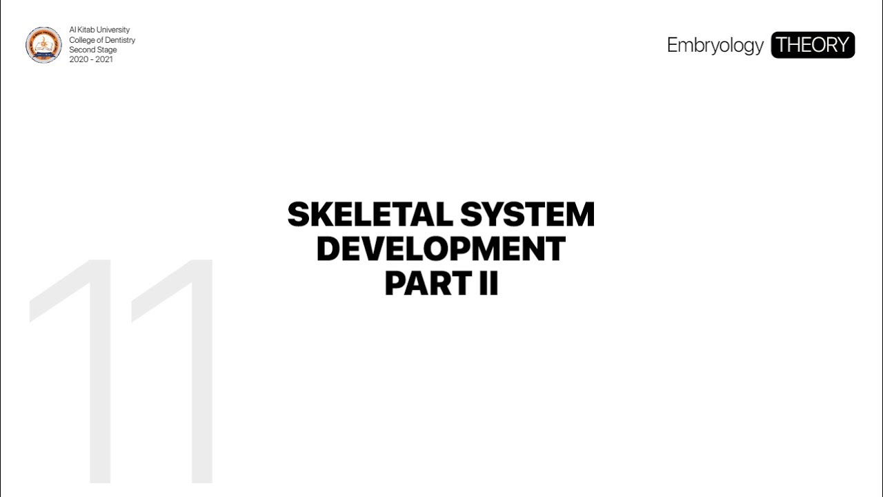 11. Skeletal System Development Part II | Embryology THEORY