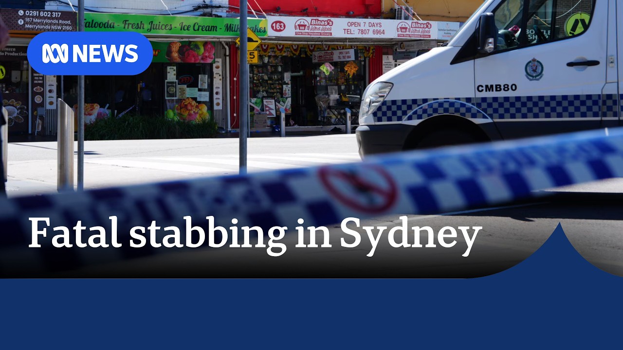 Man arrested after 'random' stabbing spree on Western Sydney street | ABC NEWS