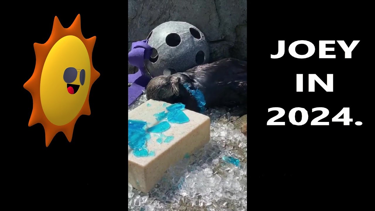 Joey in 2024.