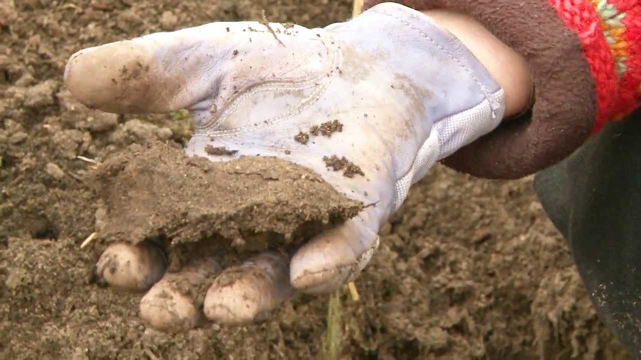 The Curious Gardener  Ep 16  Soil and the Subarctic Garden