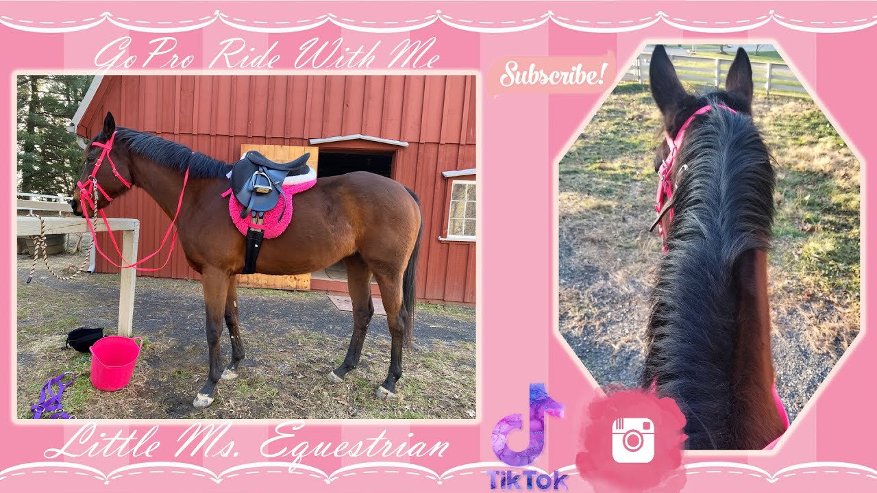 GoPro Ride With Me | Helmet Cam | Little Ms. Equestrian