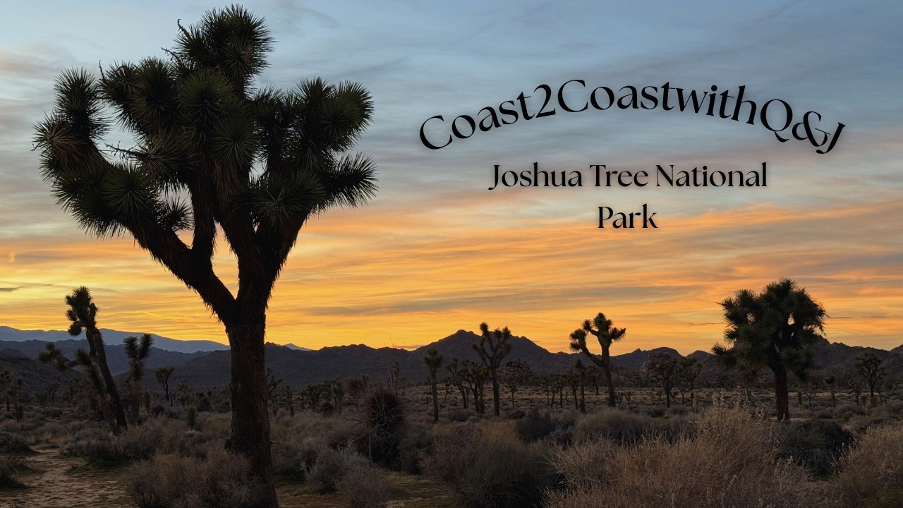 Van Life Joshua Tree: Desert Hikes, Van Cooking & Epic Stargazing! 🌵🚐