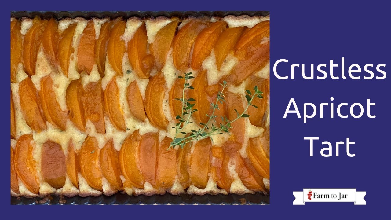Low Carb Crustless Apricot Frangipane Tart