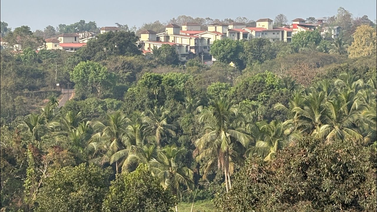 Sashi Marwadi लाइव है!