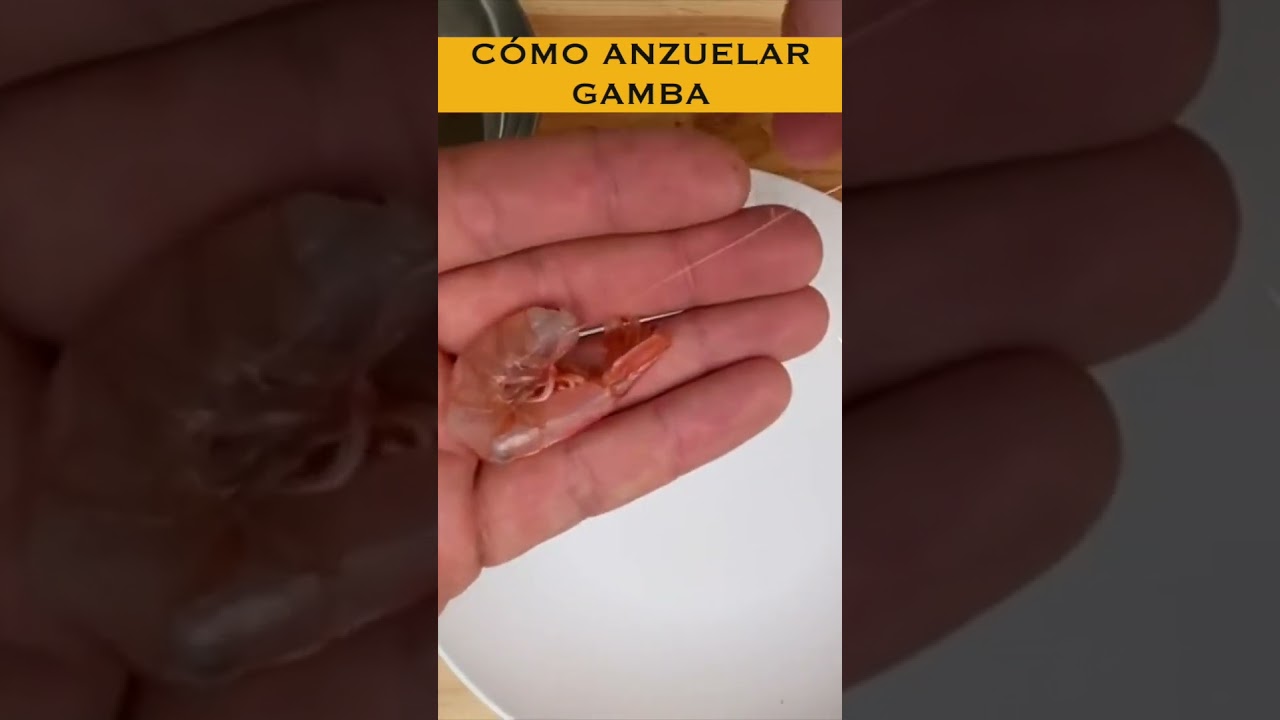 C&Oacute;MO ANZUELAR / ENCARNAR / CEBAR CORRECTAMENTE una GAMBA PASO A PASO (pesca a boya)