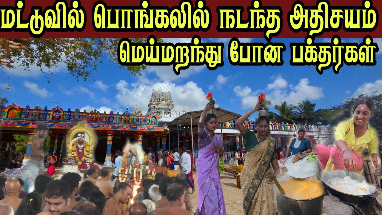 🛑 மட்டுவில் பொங்கலில் நடந்த அதிசயம் ஓடோடி வரும் பக்தர்கள் யாரும் அறியாத பல மர்மங்கள்