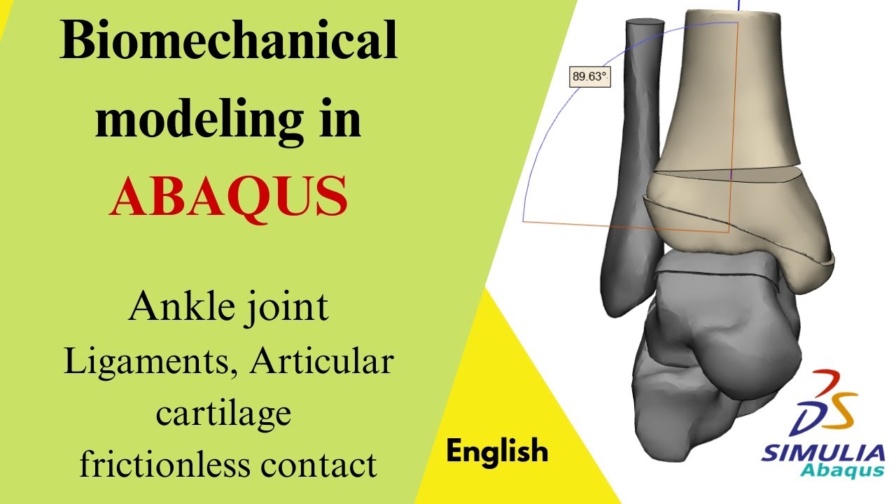 ABAQUS: Biomechanical model of ankle  : modeling ligaments, cartilages, frictionless contact