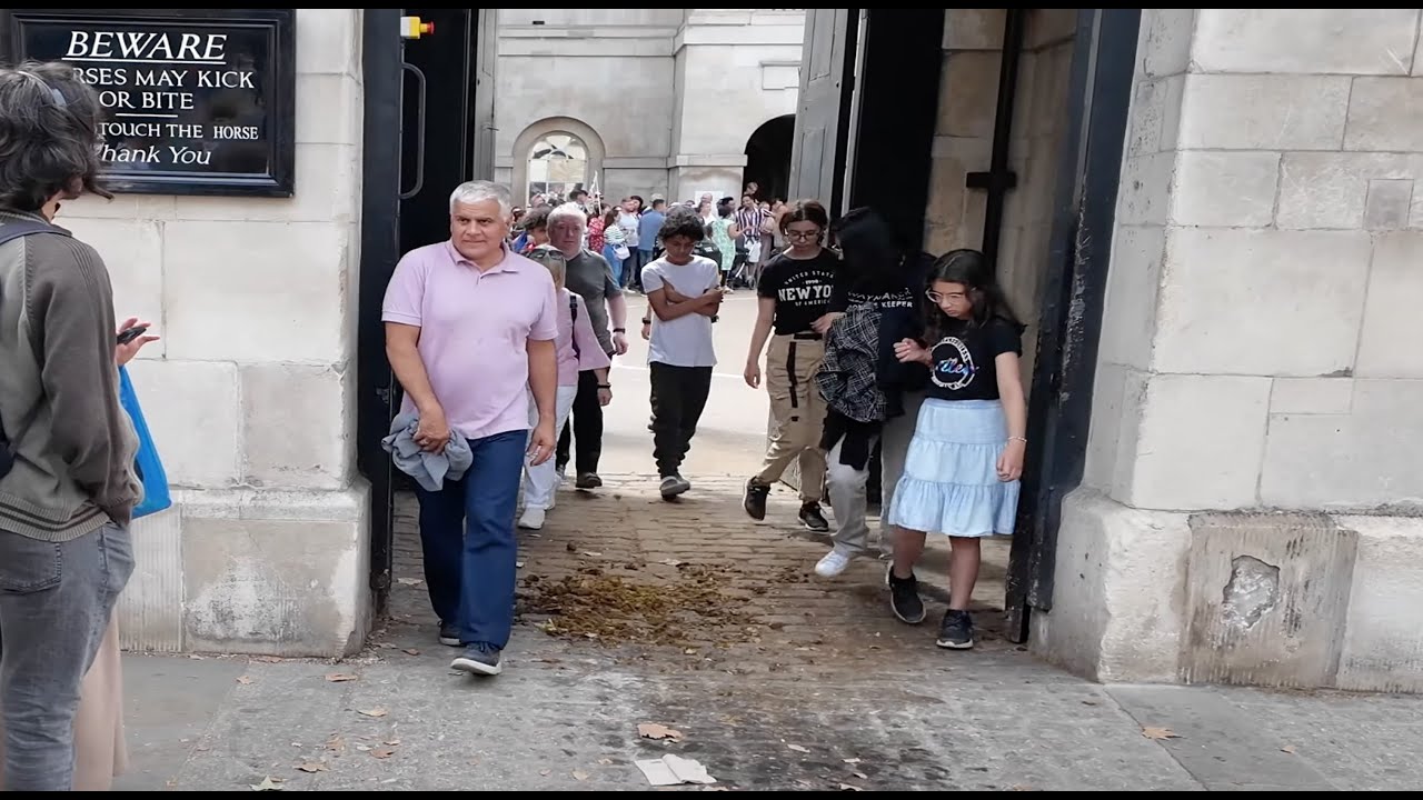 UNBELIEVABLE!! Tourists GET OUT OF THE HORSE BOX, Horse's COMING!!
