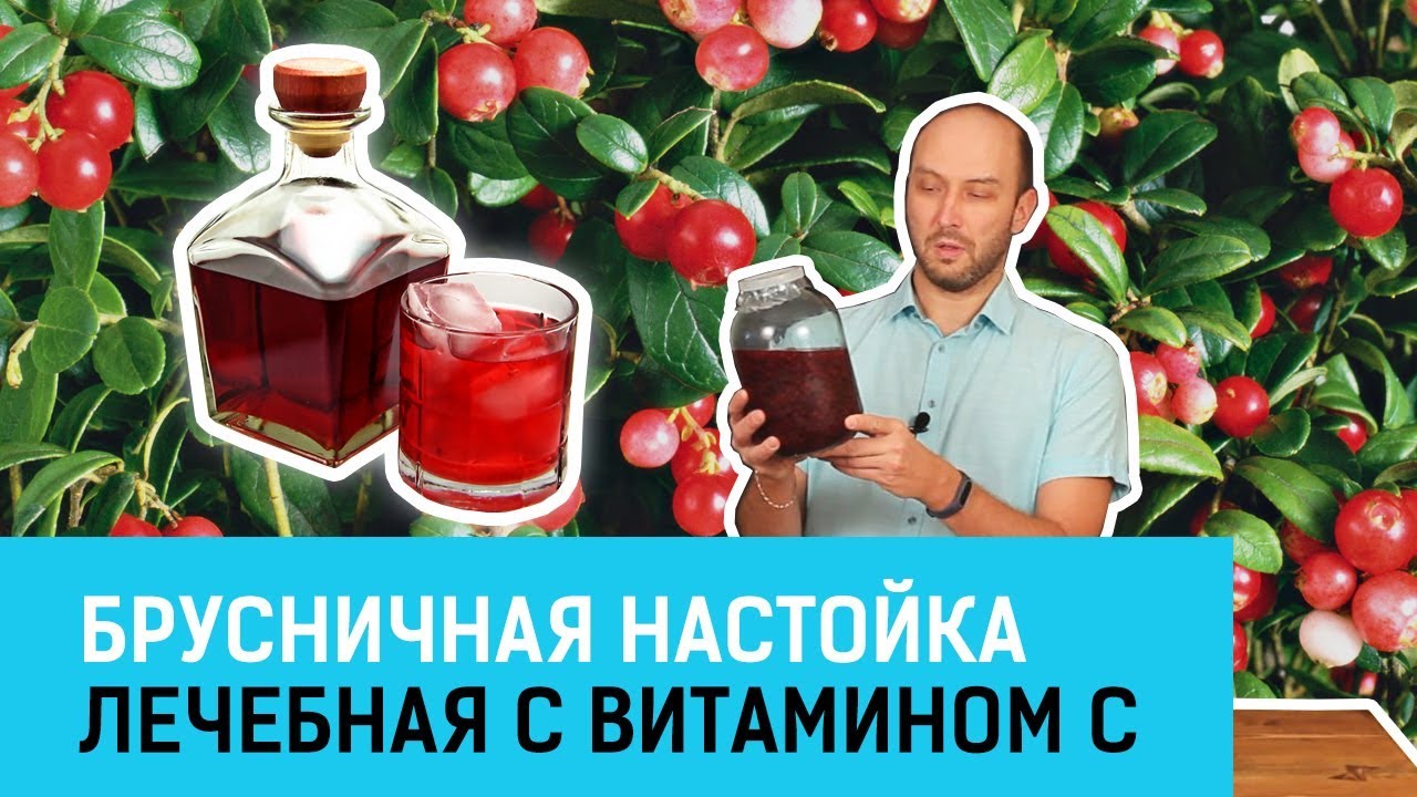 Брусничная настойка. Лечебная с витамином С.