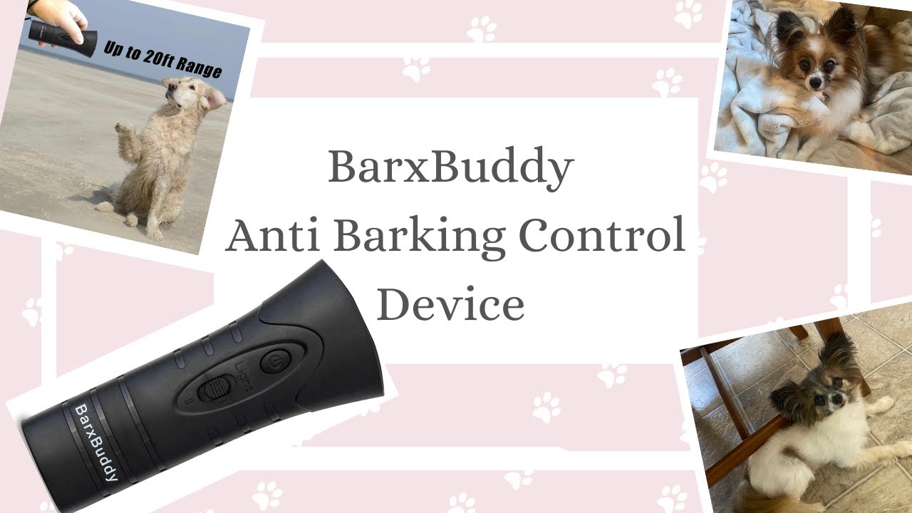 Cat's Canines ~ BarxBuddy Ultrasonic Anti Barking Training tool ~ Review