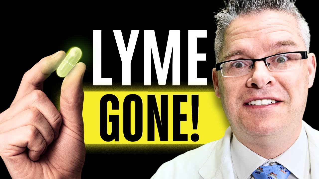 Top 7 Lyme Supplements That Help You Recover