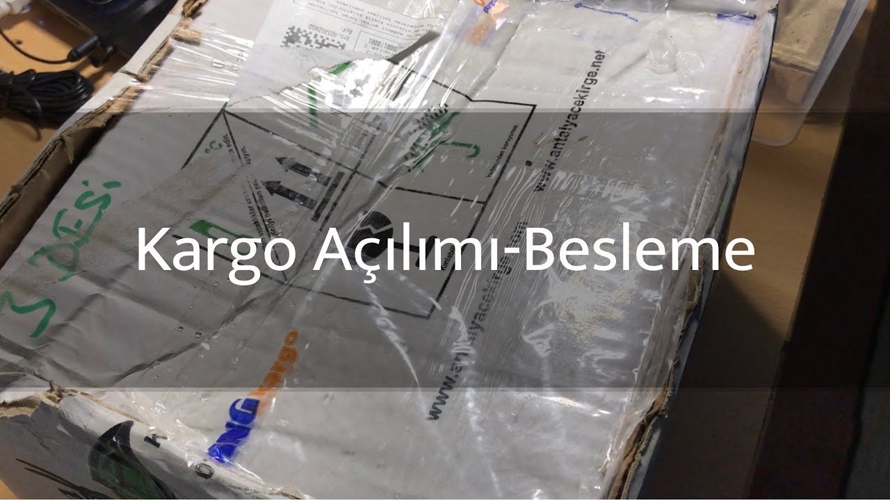 Kargo Açılımı (Tartara) - Besleme (Mantis)