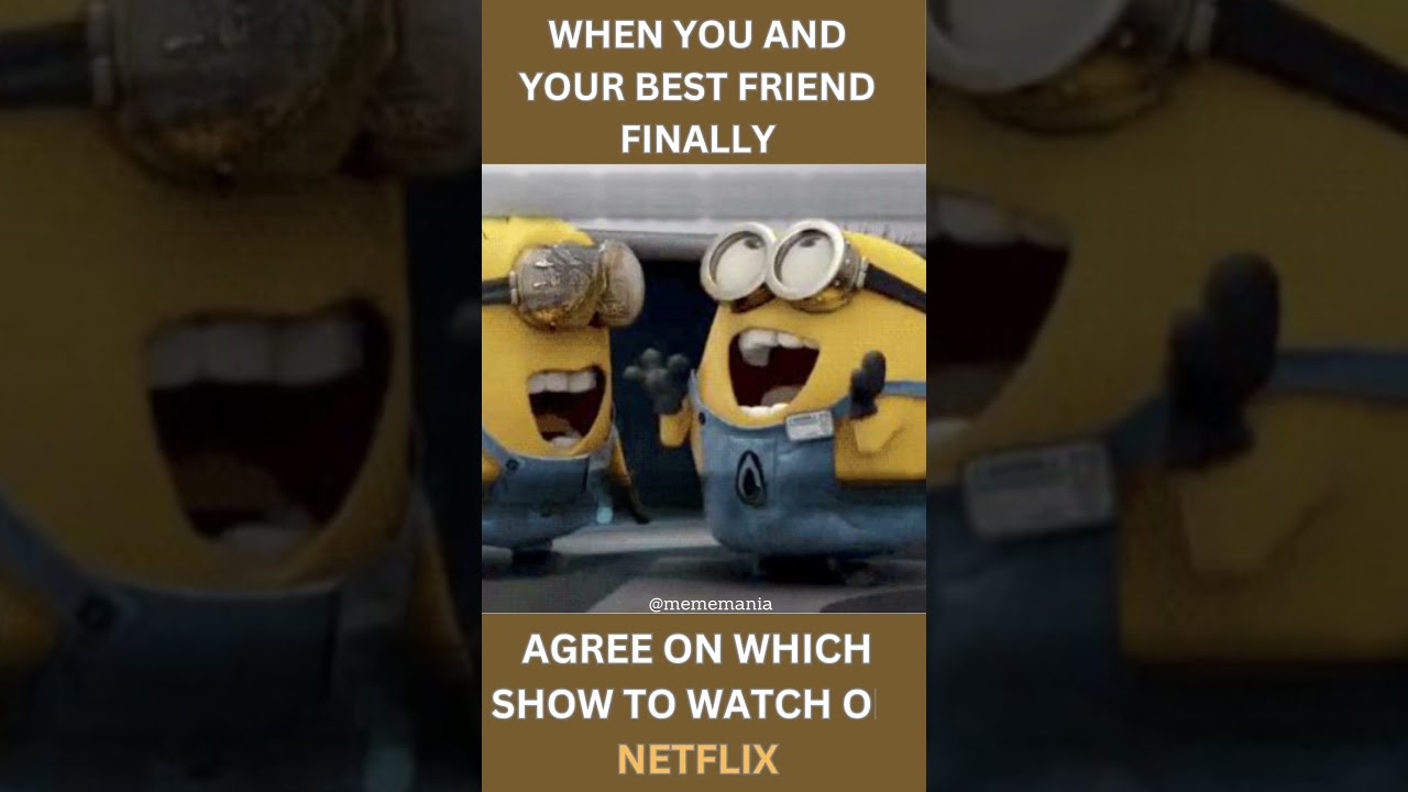 Netflix memes 