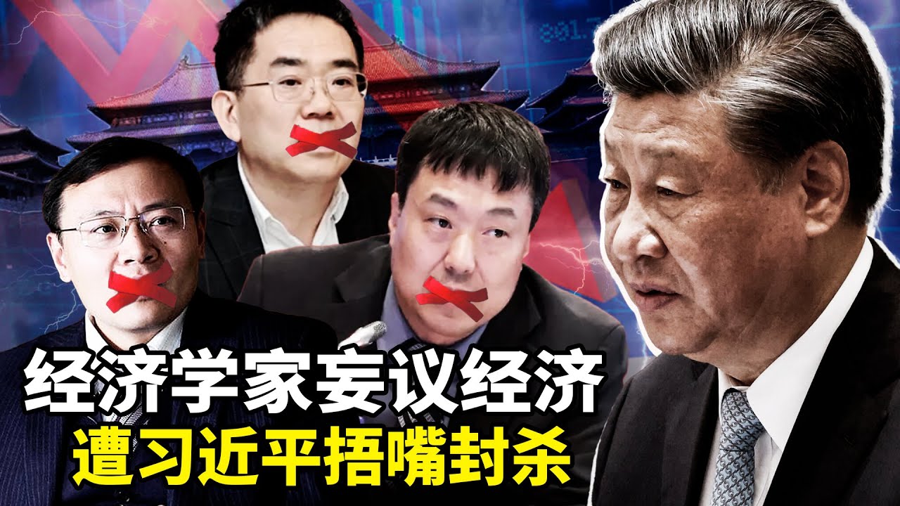 高善文、朱恒鹏、付鹏、任泽平接连被封杀！只因一句实话：GDP灌水10%、青年失业4700万、中产经济崩盘，2025首席经济学家集体失声，中国经济谁敢说真话？