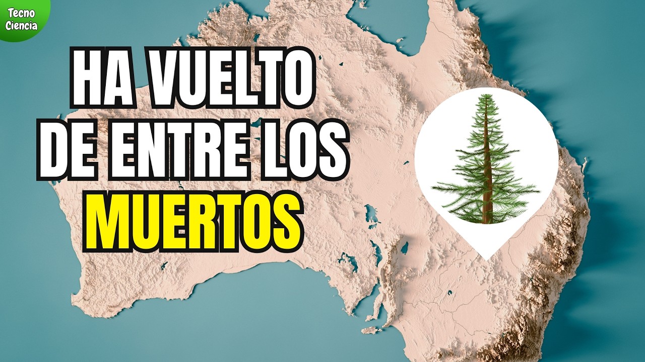 &iquest;Podr&iacute;amos poner El &Aacute;RBOL M&aacute;s RARO del Mundo en tu Patio? La Historia del PINO WOLLEMI