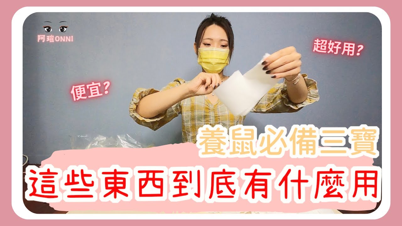 養黃金鼠CP值最高的東西🐹🐹！90%的人都不知道！！新手養鼠必備