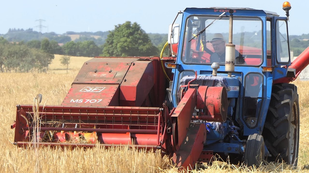 Ford 5000 in the field harvesting barley w/ JF MS707 thresher | Nostalgia | Harvest Season 2021