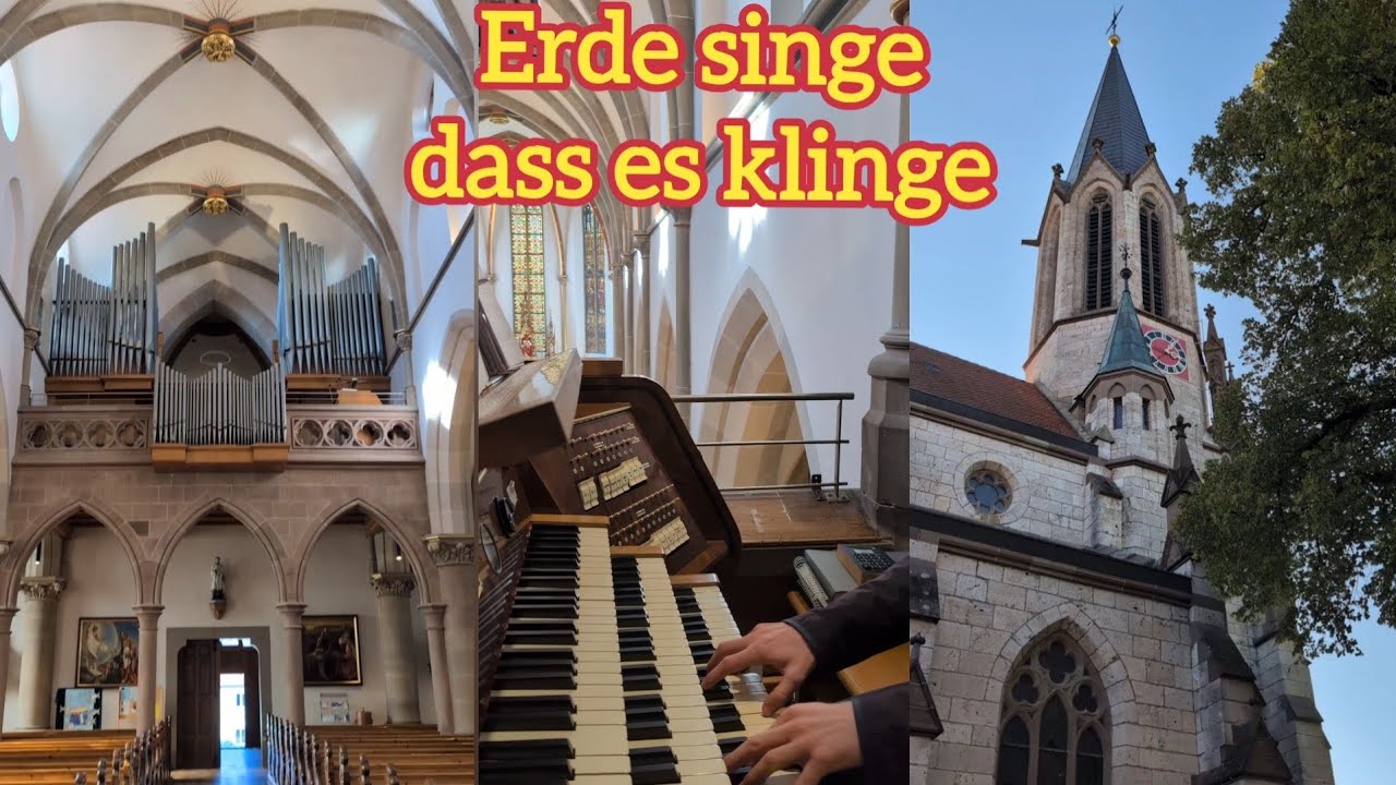 GL 411: Erde singe, dass es klinge | Orgel