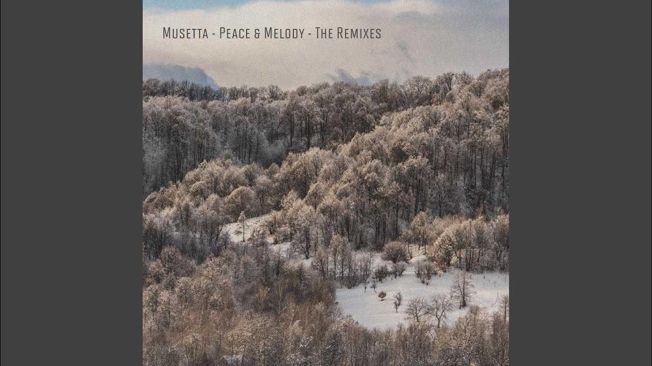 Peace & Melody (Bart Van Wissen Remix)