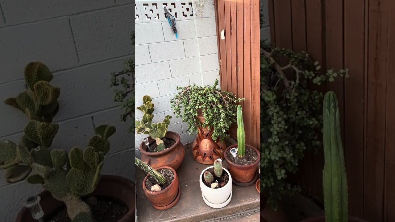 Tour of my Little Art Studio 