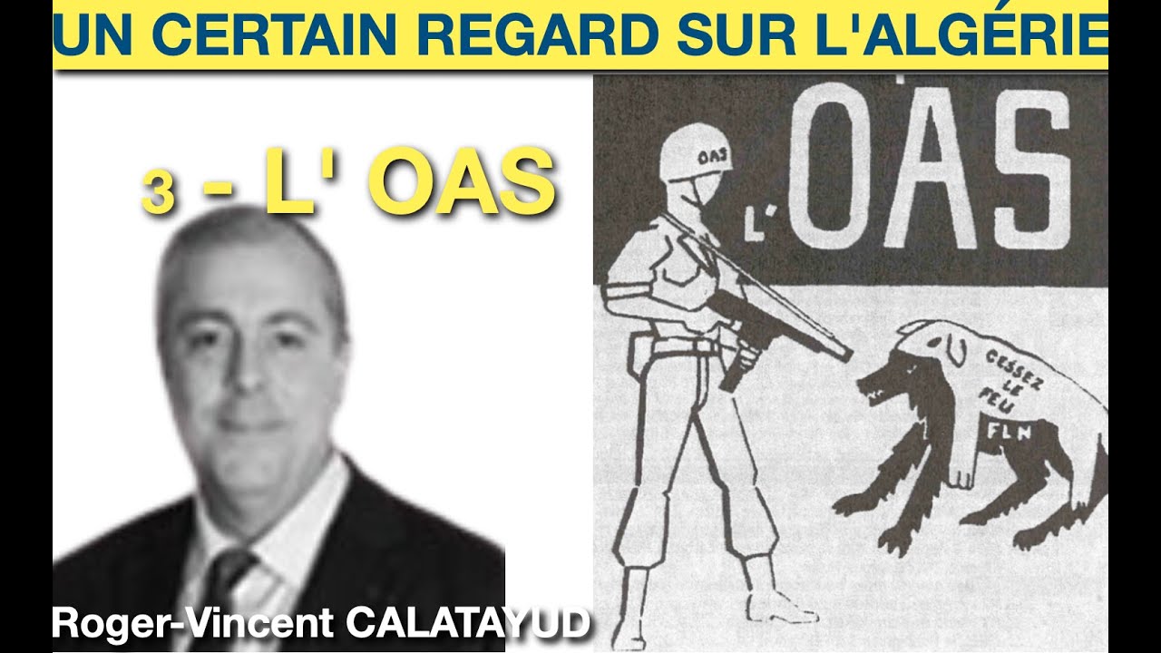 L' OAS - la fin violente d'une histoire française