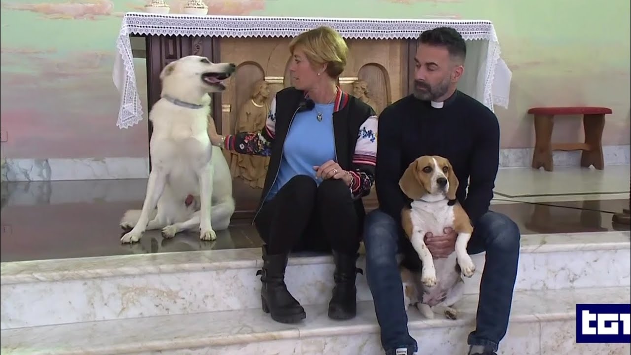 Intervista di don Cosimo Schena sul TG1 @rai