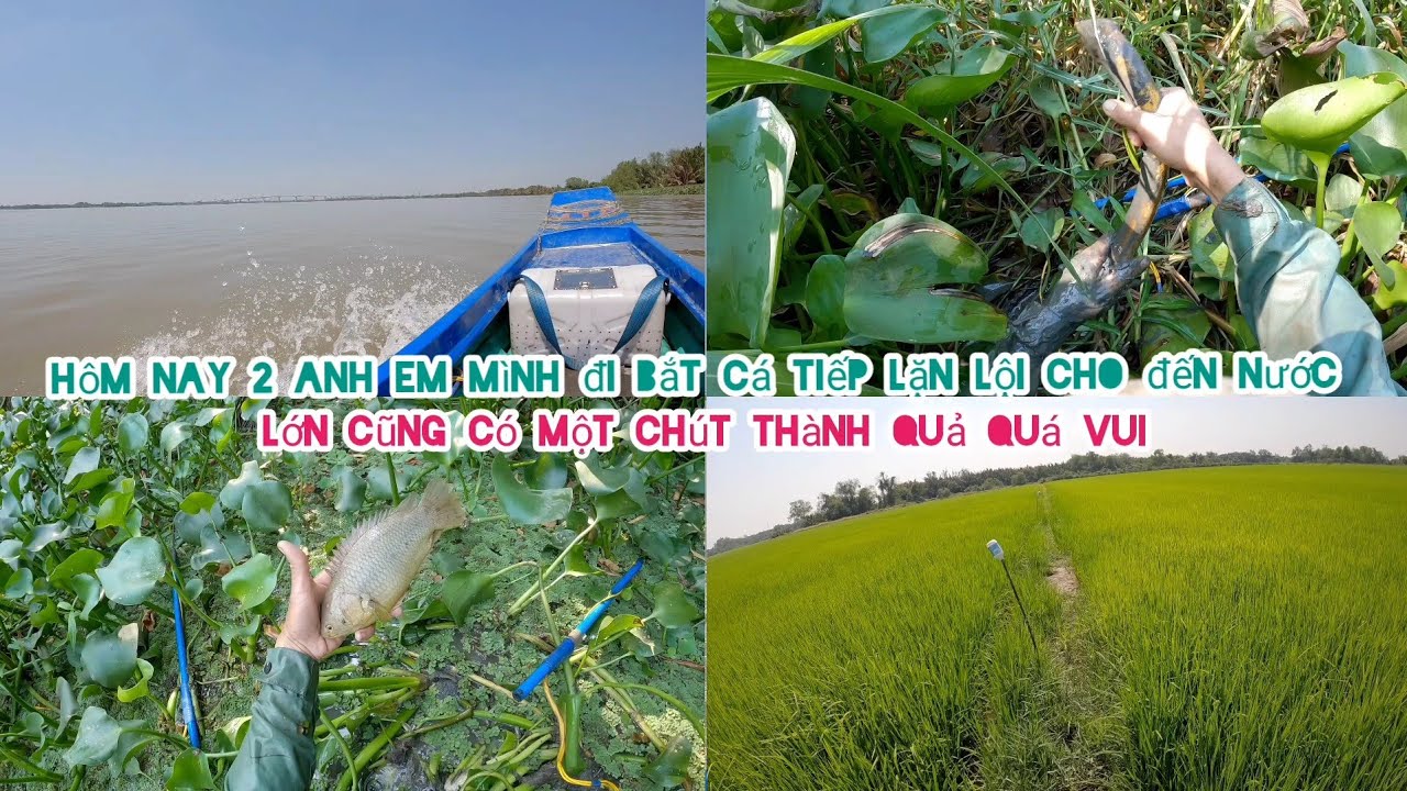 Lặn Lội Cho Đến Nước Lớn Mỗi Người Cũng Được Hơn 300k Á Quá Vui