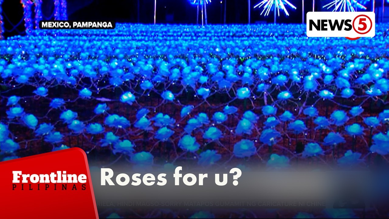 20,000 roses, dinarayo sa isang pasyalan sa Pampanga | Frontline Pilipinas