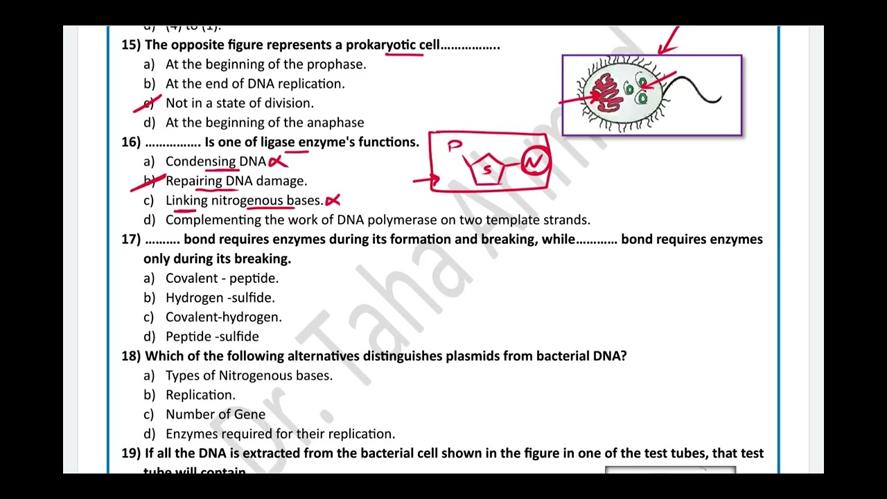 Chapter 5 (Post lecture 3): Senior 3