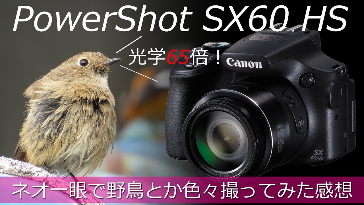 [ 光学65倍ズーム ] PowerShot SX60 HS を買って野鳥とか撮ってみた！