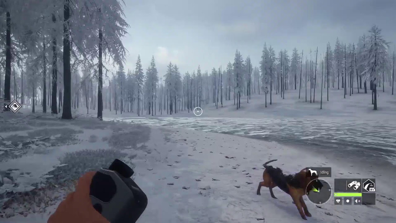 Thehunter: Call of the Wild livestream