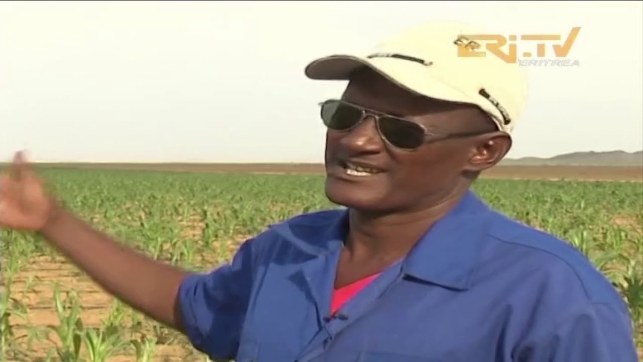 ERi-TV መደብ ሄራር (hierar): Modern Farming in Kerkebet (ከርከበት)
