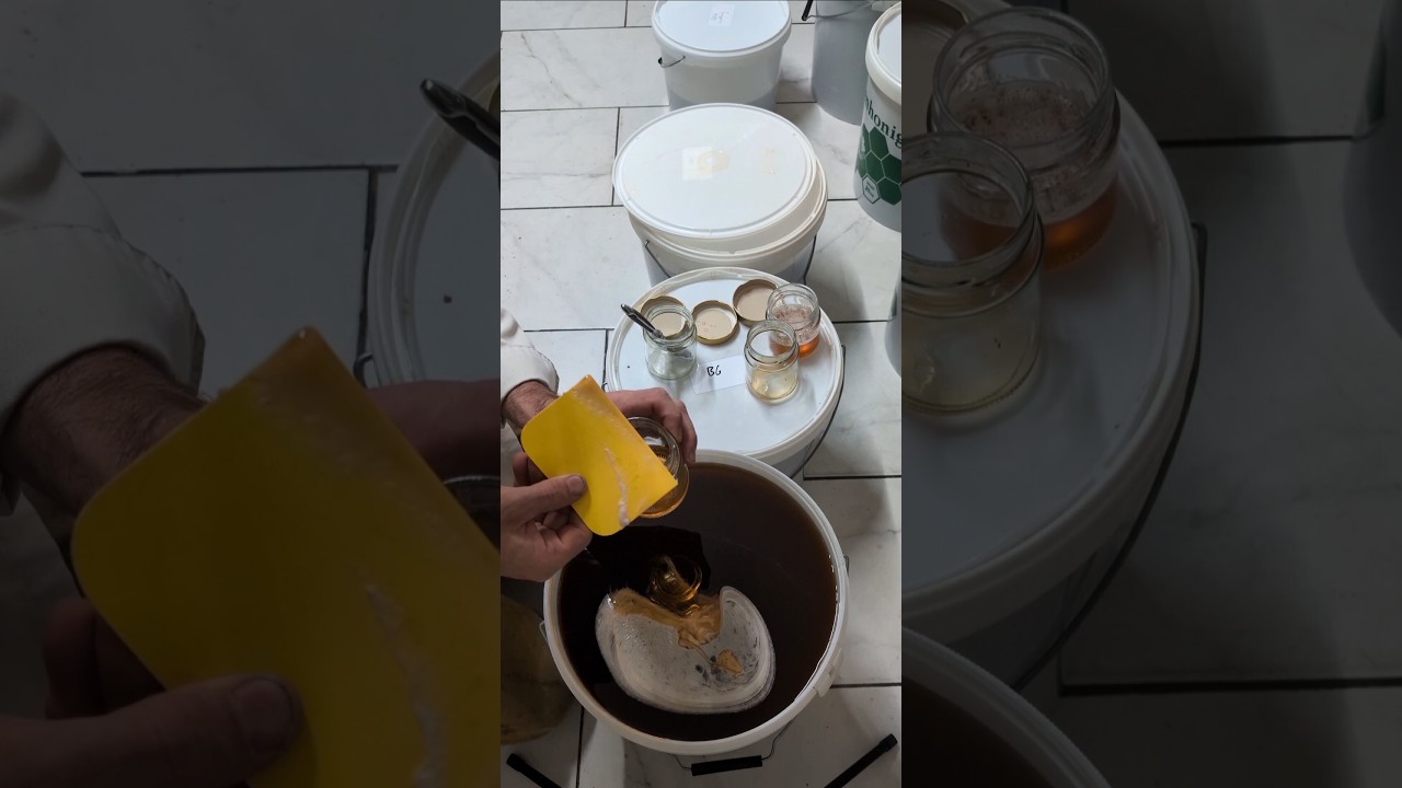 Honig absch&ouml;pfen