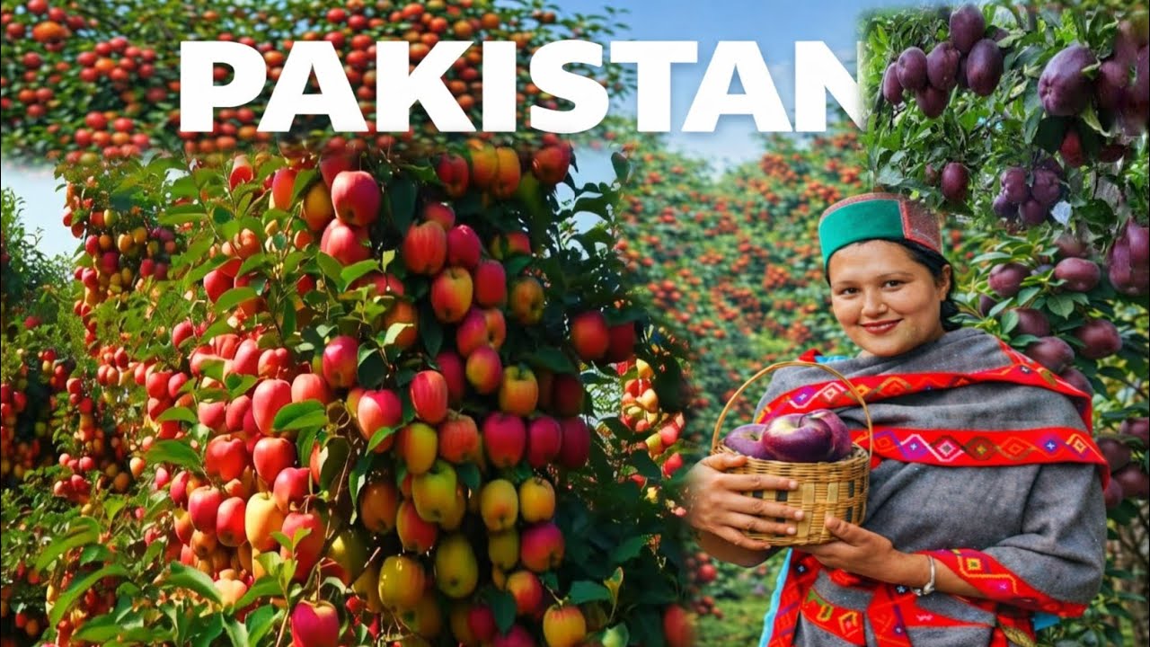 Pakistan’s Apple Land | Village Near China Border