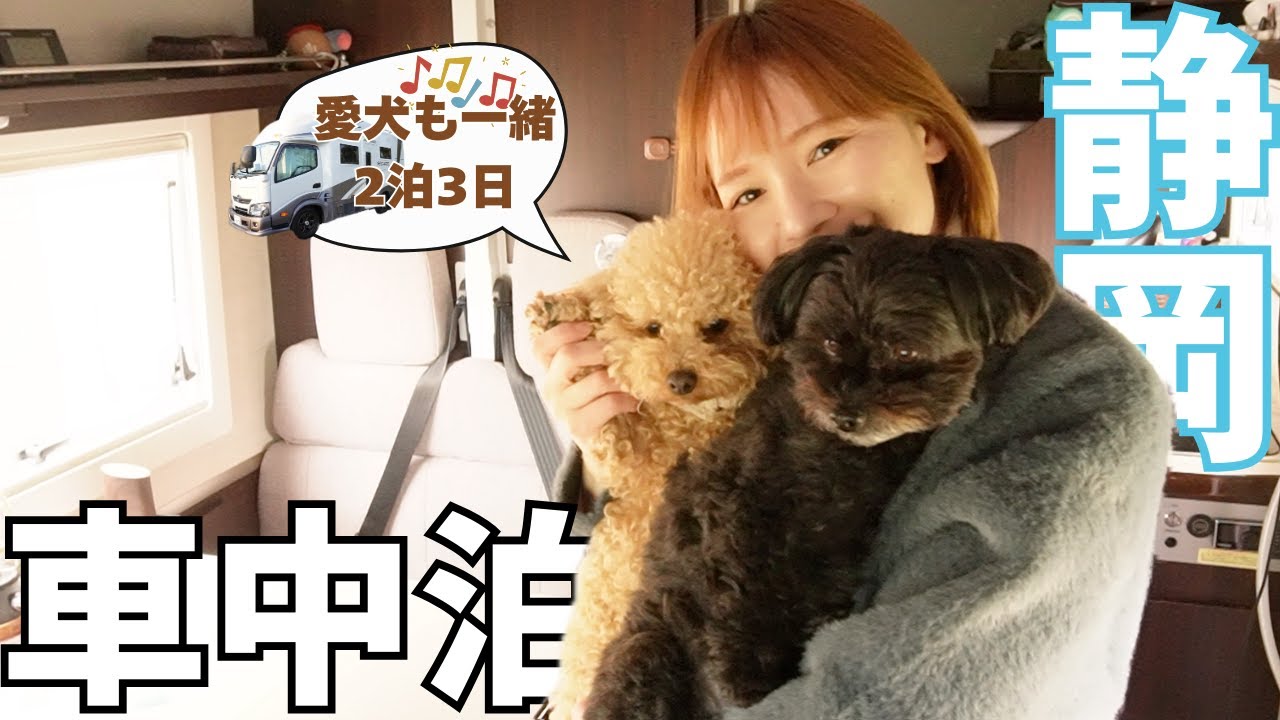 【キャンピングカーの旅・静岡】2泊3日で大満足プラン！並んでも食べたい絶品桜エビに愛犬も楽しめる車中泊/あこがれのまるちゃんの町