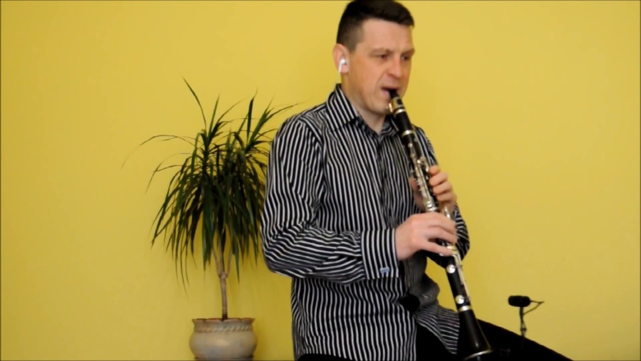 Beauty and the Beast [clarinet  Chris Dziamba]