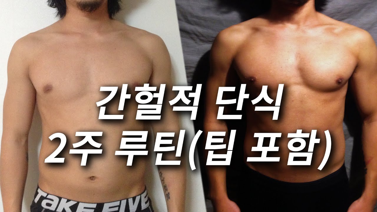 2주만에 간헐적 단식 효과 보는 방법 (+실수 방지 팁)