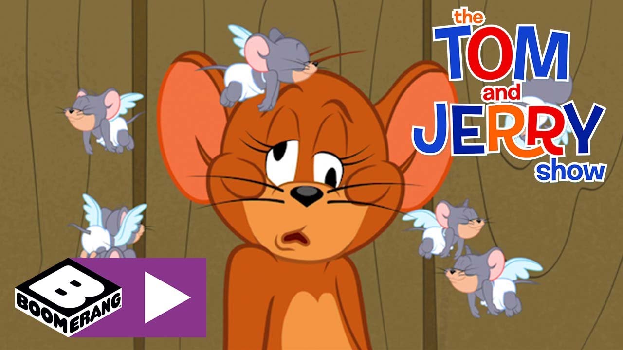 A Tom & Jerry Show | Szerelmi vetélytársak | Cartoonito