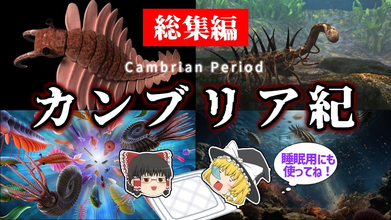 【睡眠用・ゆっくり解説】カンブリア紀　カンブリア爆発/ハルキゲニア/アノマロカリス　など【途中広告なし】
