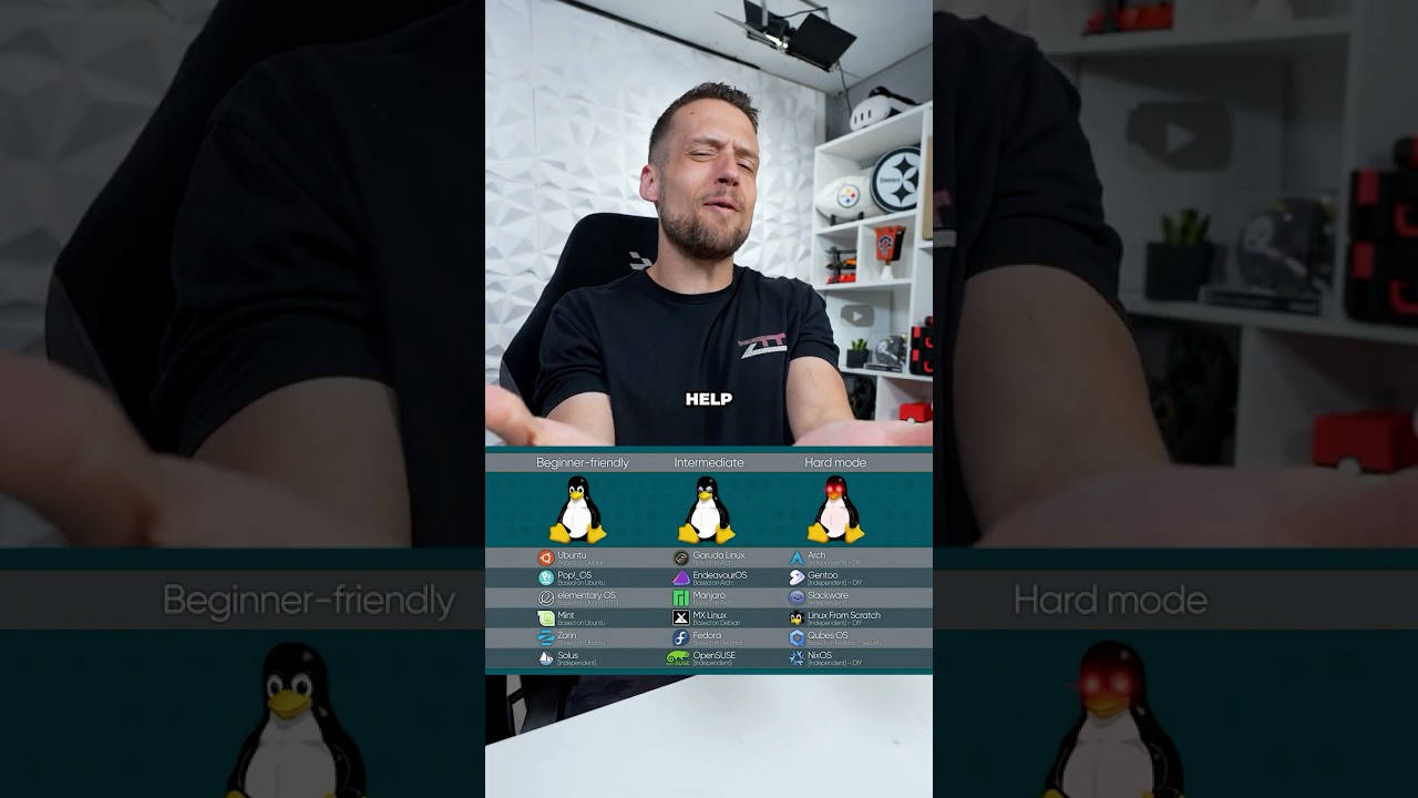 Which Linux Distro Should I Daily Drive?