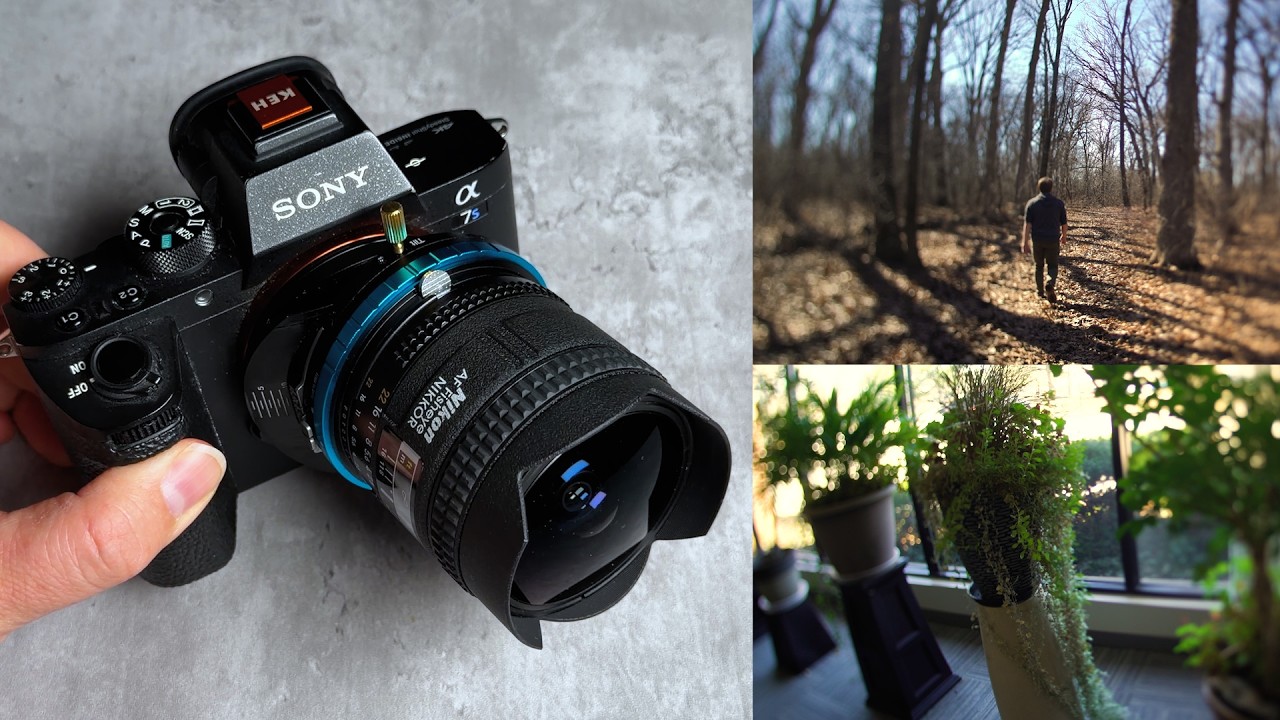A Tilt-Shift Fisheye Lens?