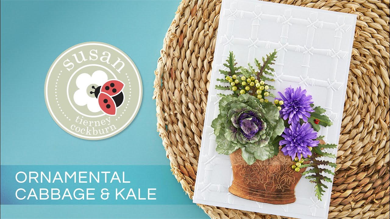 Ornamental Cabbage & Kale with Susan | Snow Garden Collection