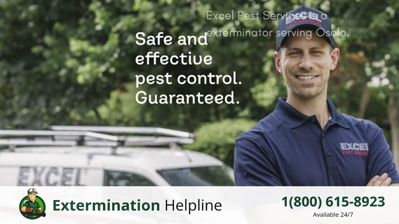 Top 3 Exterminators in Osolo