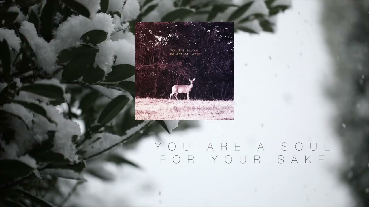 You Are a Soul – For Your Sake (Post Rock / Ambient Visual)
